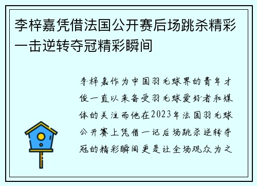 李梓嘉凭借法国公开赛后场跳杀精彩一击逆转夺冠精彩瞬间