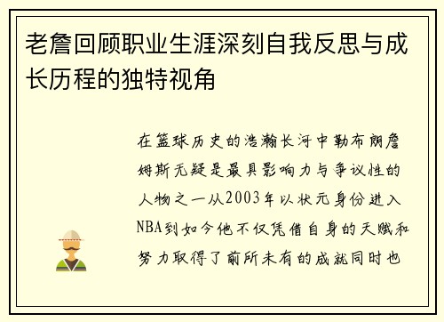 老詹回顾职业生涯深刻自我反思与成长历程的独特视角