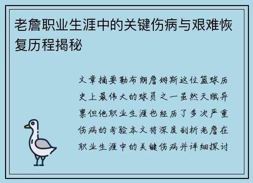 老詹职业生涯中的关键伤病与艰难恢复历程揭秘