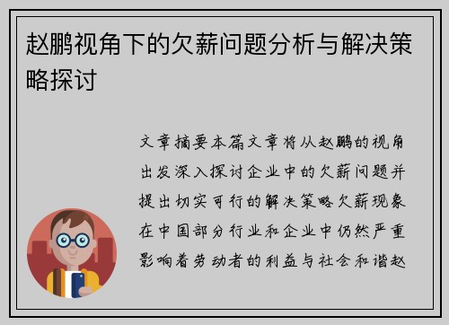 赵鹏视角下的欠薪问题分析与解决策略探讨